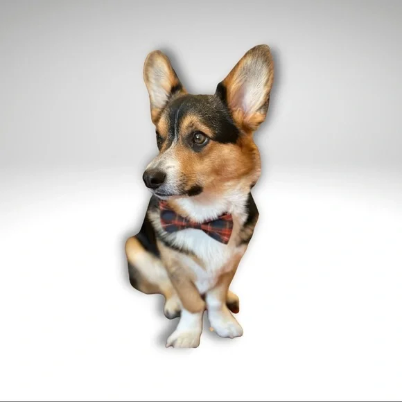 Host pick! Handmade westie coffee cup cozy - Picture 4 of 4